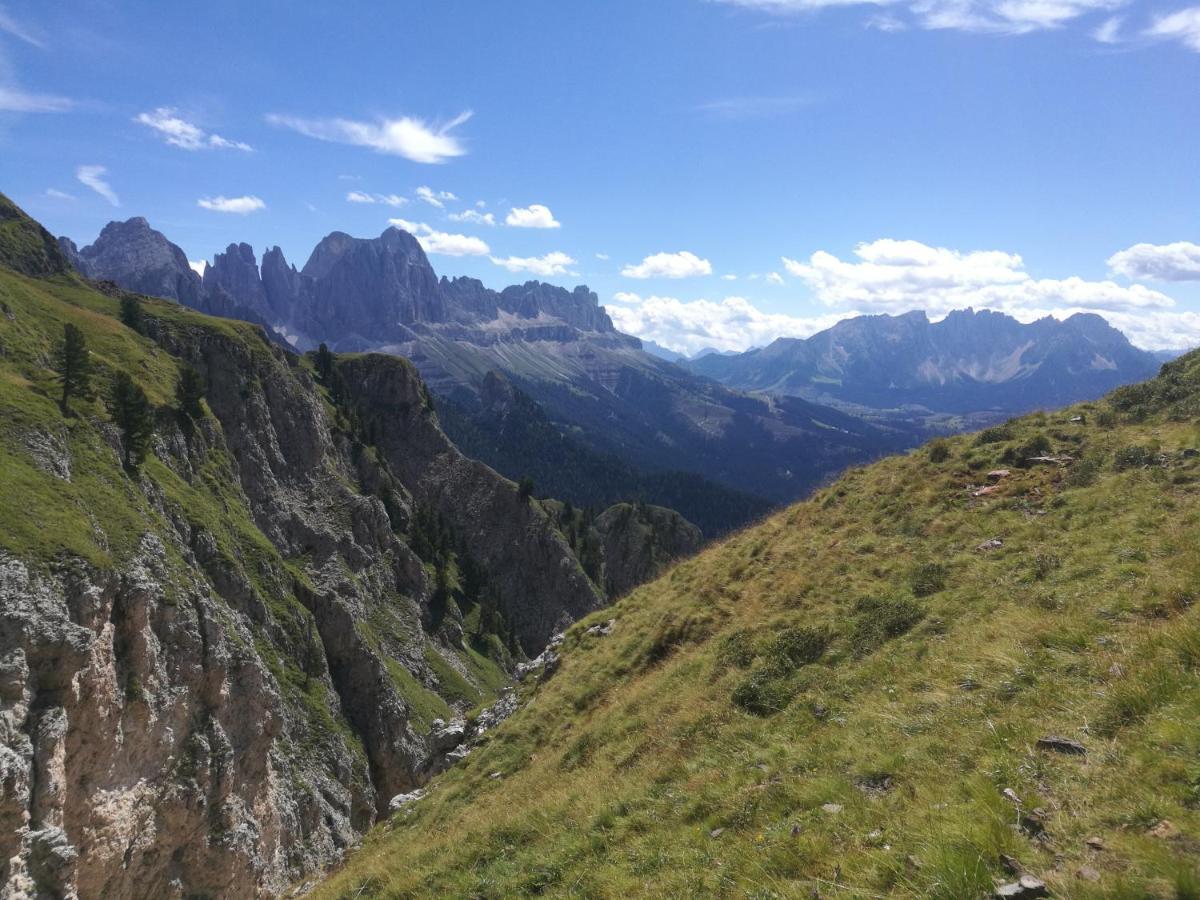 Chalet Tschogerhof Tiers Am Rosengarten Dolomiten Tires Exterior foto