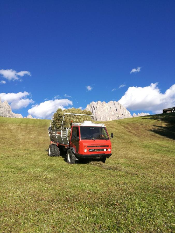 Chalet Tschogerhof Tiers Am Rosengarten Dolomiten Tires Exterior foto